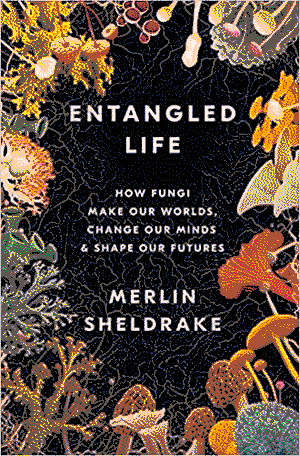 Cover of Entangled Life