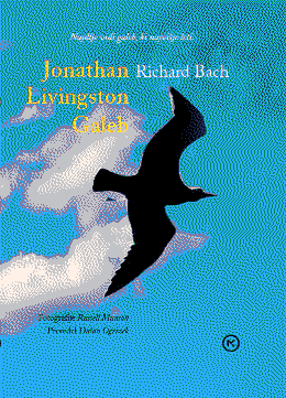 Cover of Jonathan Livingston Seagull