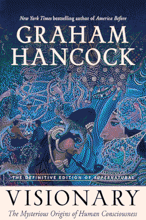 Cover of Visionary