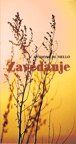 Cover of Awareness